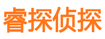 大观市私家侦探